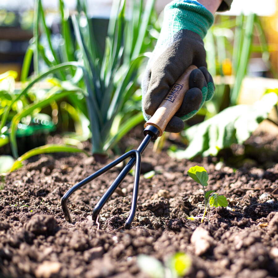 Image of Win 1 of 10 AMES Hand 3 Prong Cultivators
