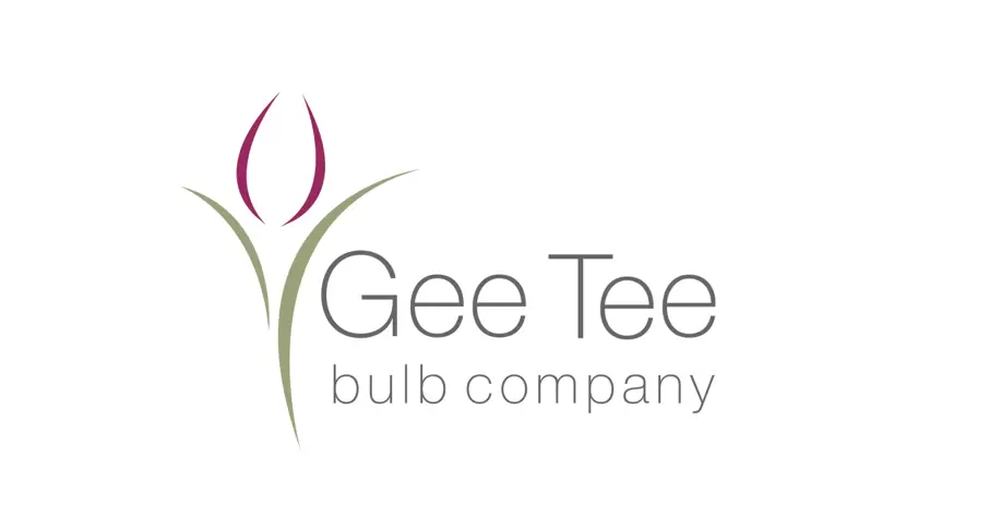 Image of WIN a Summer Garden in a Box worth &pound75.00
from Gee Tee Bulb Company!