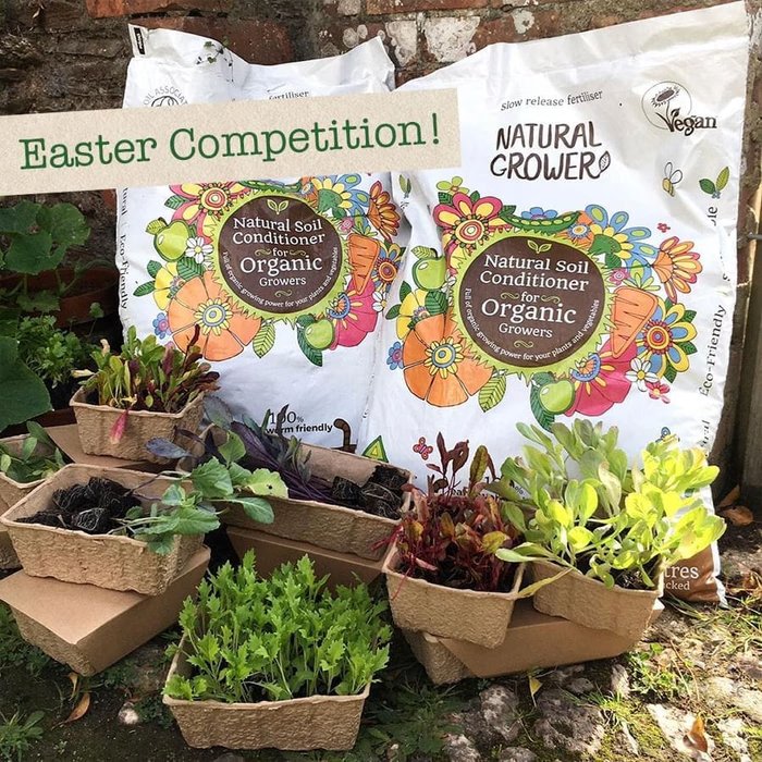 Image for Win 1 Of 3 Prizes Of This Rocket Gardens Veg Bundle
