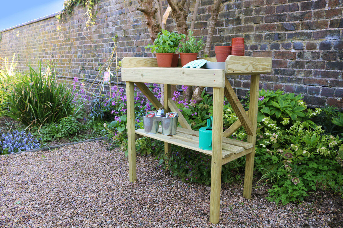 Image of Win the perfect grow your own duo from Zest!