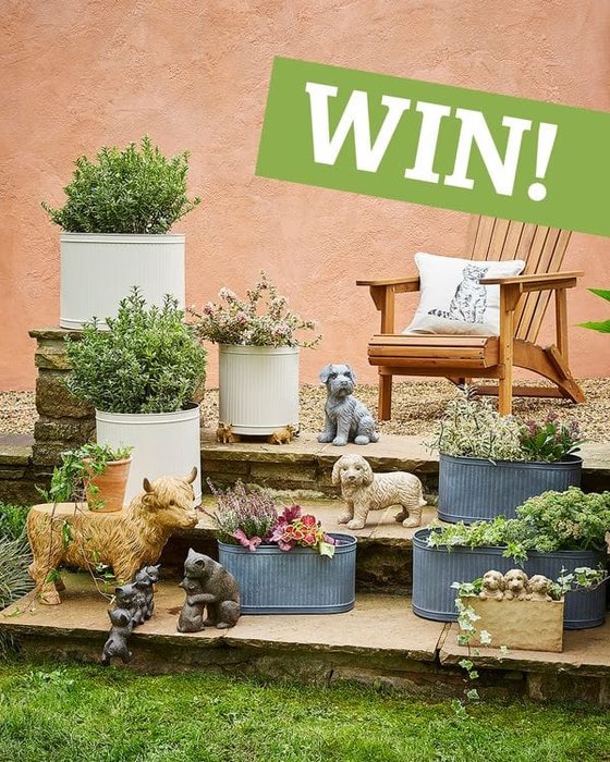 Image of Win &pound200 to Spend on Your Garden at Dunelm!
