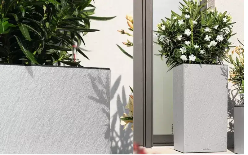 Image of Win a Pair of Beautiful LECHUZA Planters