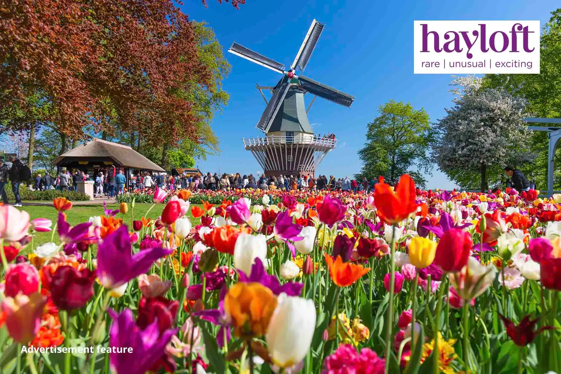 Image of Win a trip to the Keukenhof tulip fields in the Netherlands
