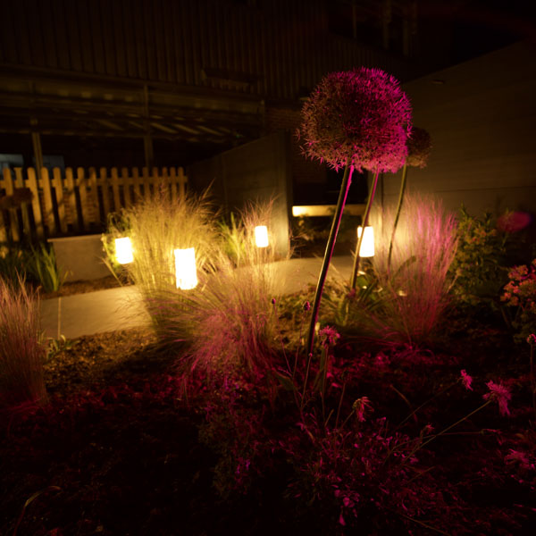 Image for Brighten up Gardens with Ellumiere - No Electrician Required!