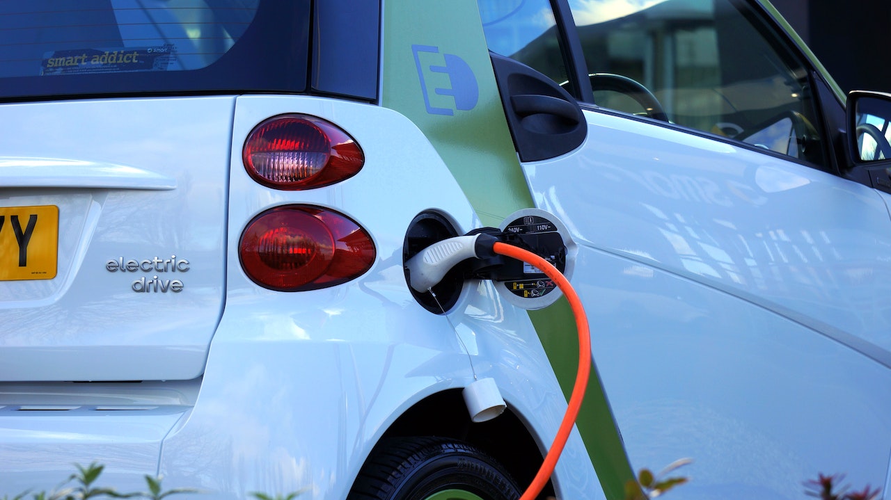 EV Threat to Gardens