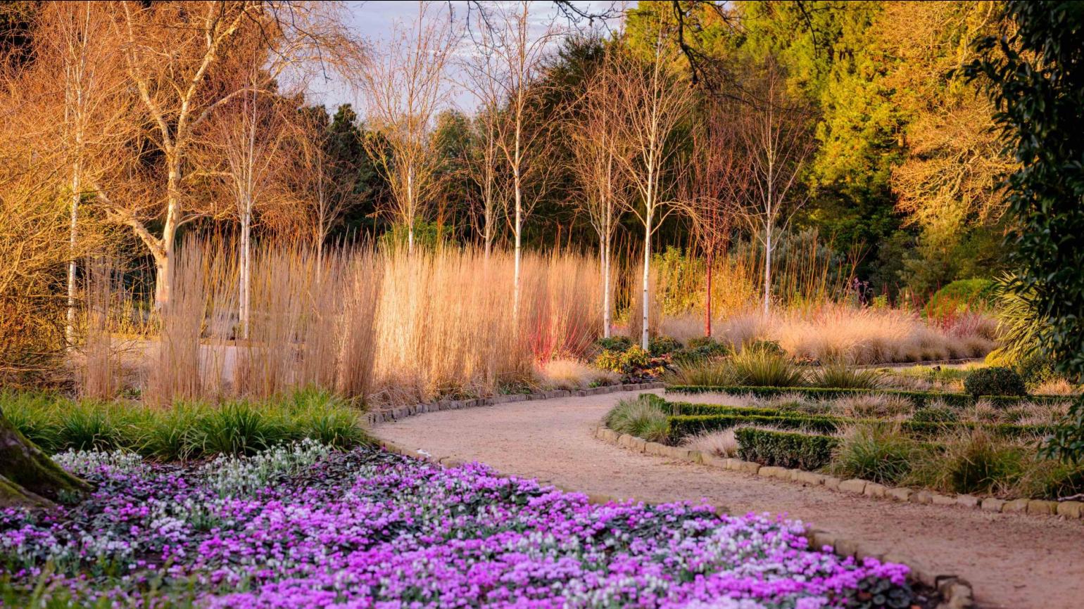 Wakehurst's Winter Garden turns five