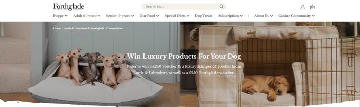 Image for Win &pound500 of vouchers To Spend on Dog Food & Accessories

