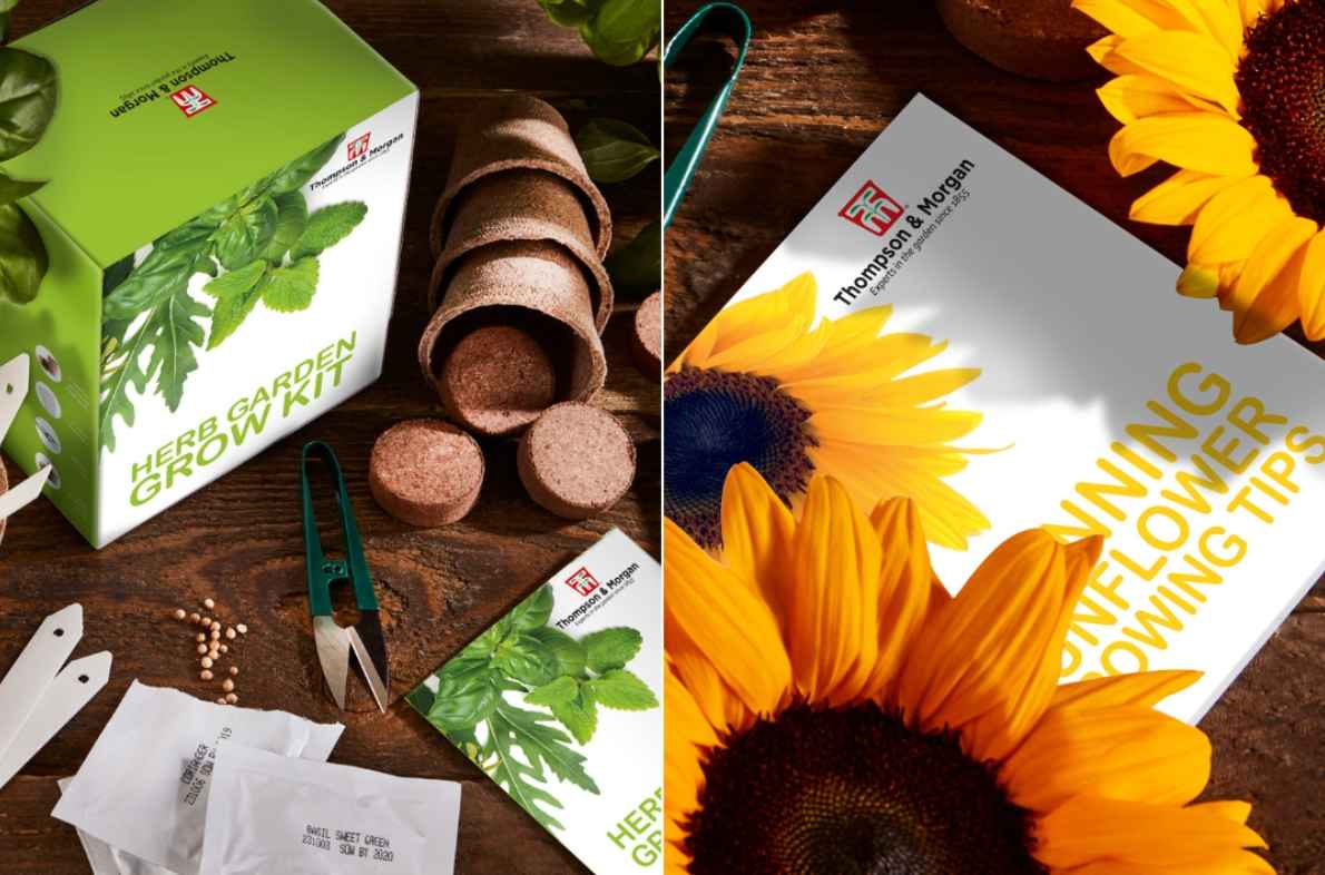 Image of Win a sunflower grow kit and a herb garden grow kit for you and your friend