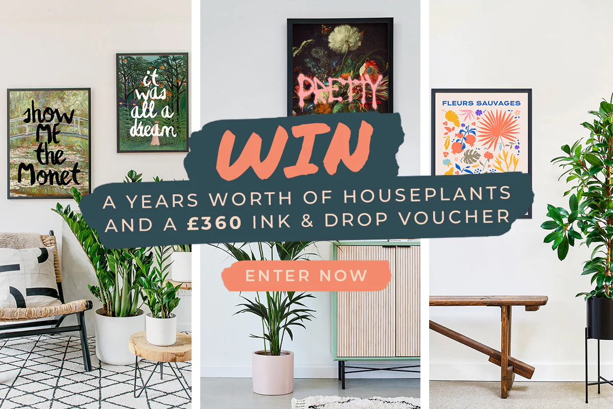 Image of WIN a &pound360 Ink&Drop voucher & a years worth of houseplants