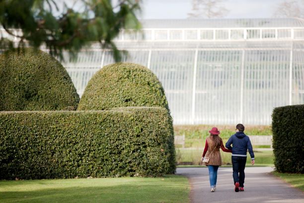 Kew Returns to Channel 5