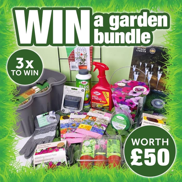 Image for Win 1 Of 3 POUNDSHOP Garden Bundles Worth &pound50
