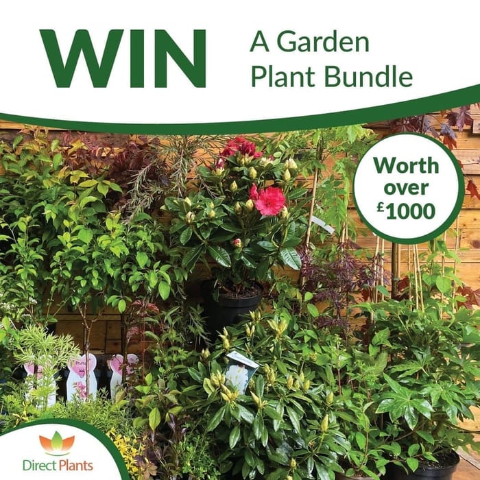 Image for Win A HUGE Plant Bundle Worth Over A Whopping &pound1,000!!
