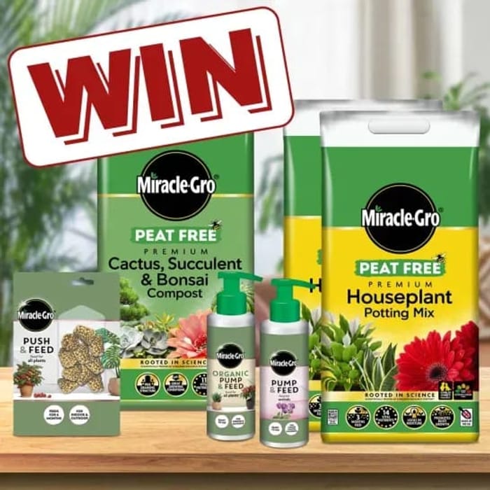 Image of Win the Ultimate Houseplant Care Bundle