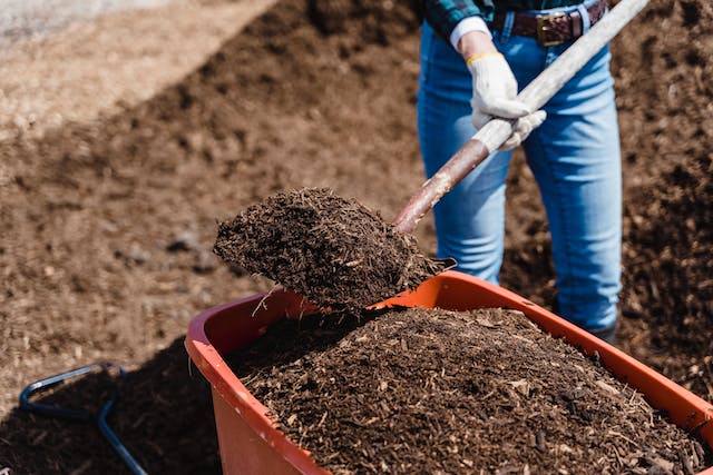 Miracle-Gro Ends Peat Compost Era after 22 Years
