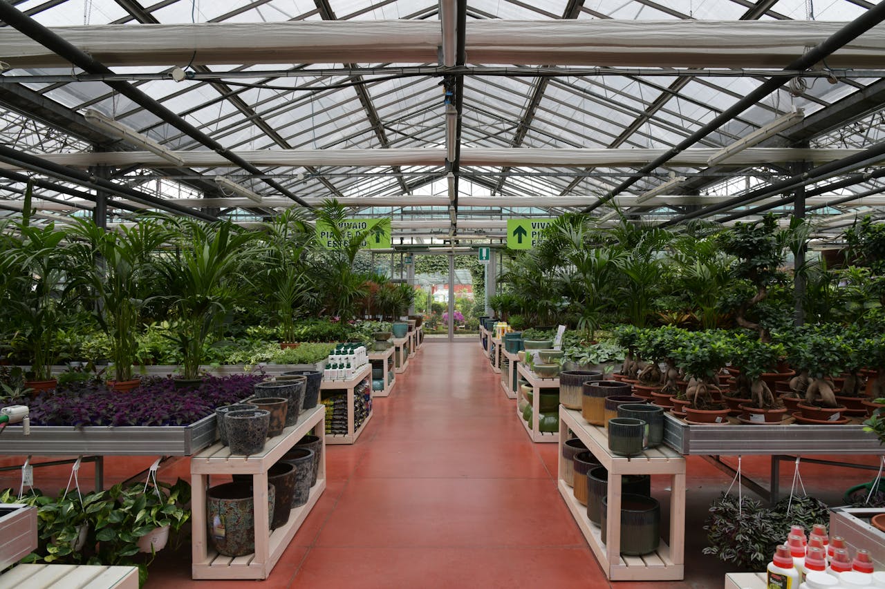 Garden Centres Brimming with Discounts
