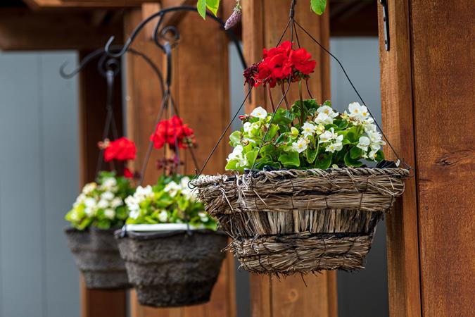 Keep Your Hanging Baskets Looking Good in Summer