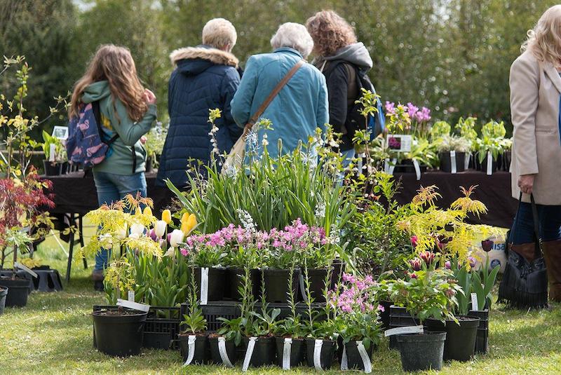 Arundel Castle announces 2024 Plant Fair & return of Plant Fair Roadshow