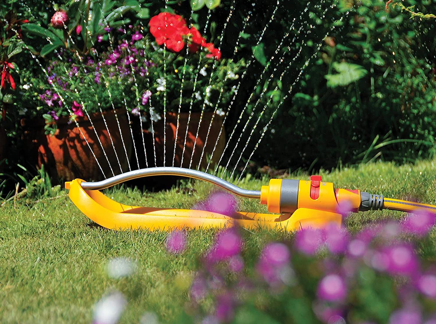 Image for Save Your Garden from Drought with These 5 Tips 