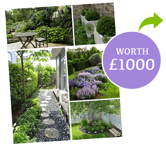 Image of Win a garden renovation worth &pound1000