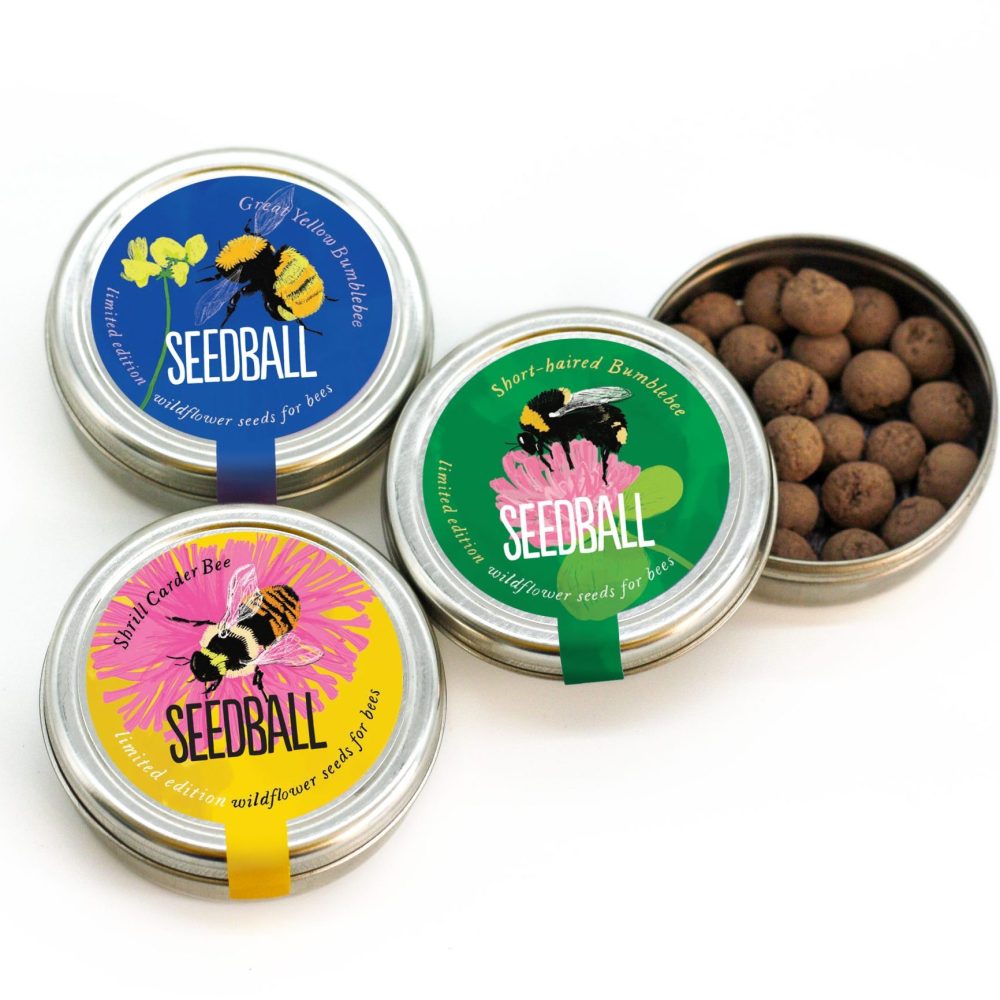 Seedball Celebrates 10 Years Sharing Wildflowers with World