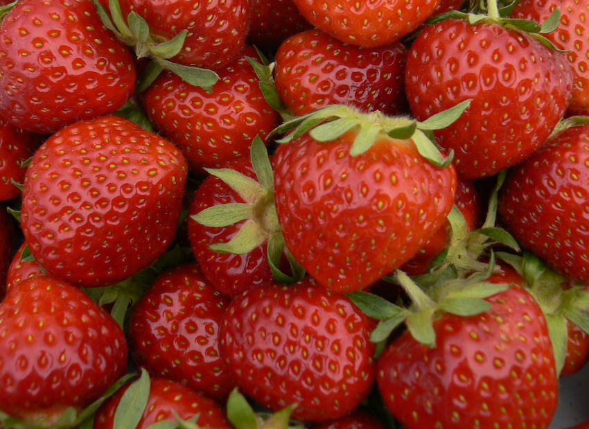 Offer: Strawberries for Easter