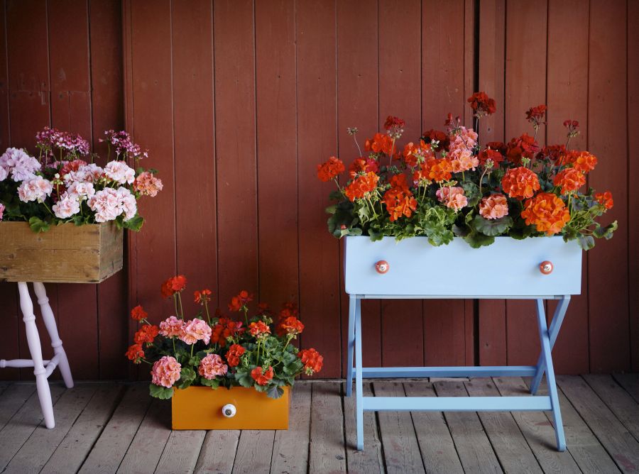 Image for Upcycled Floral Features for Your Garden