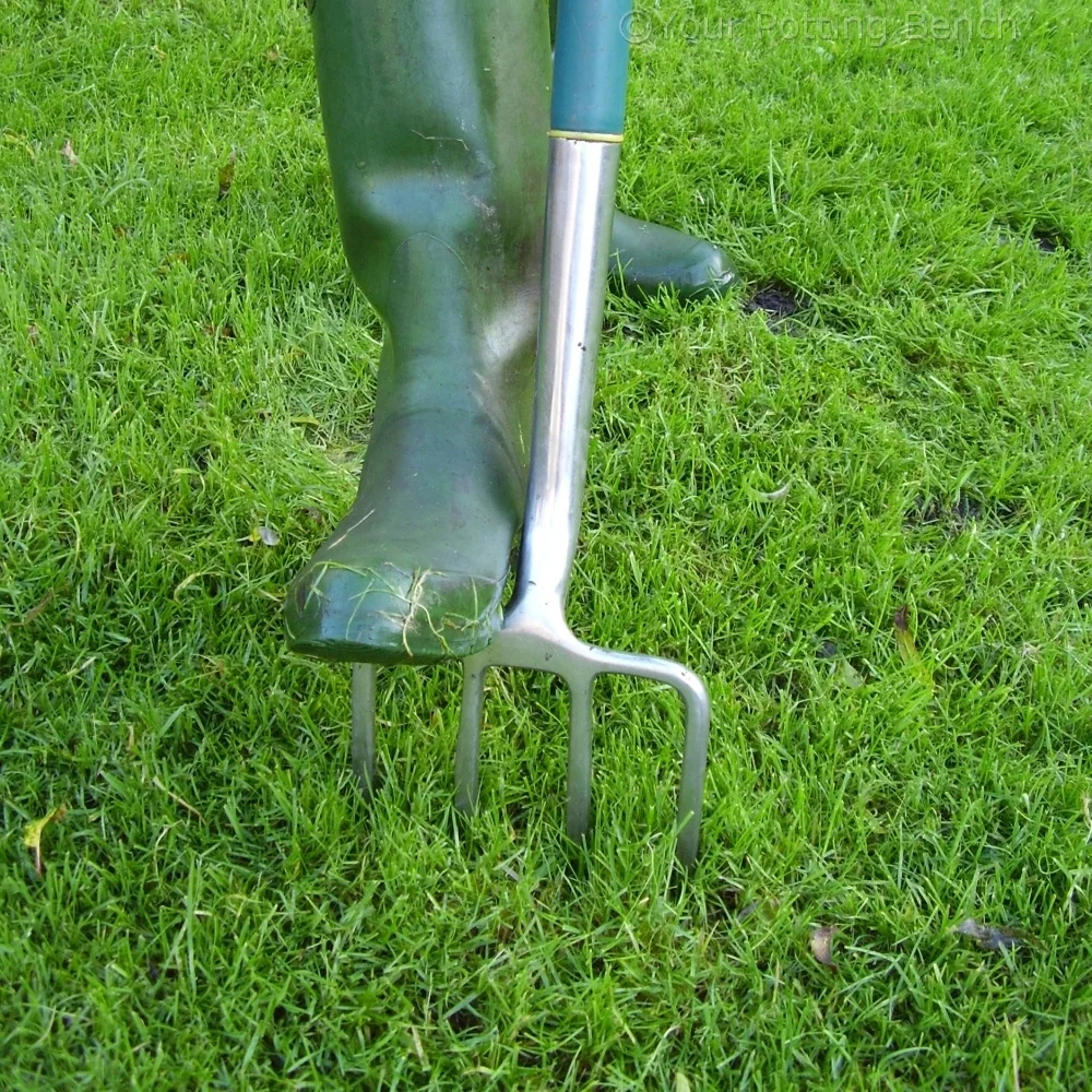 Learn about How to keep a lawn drained