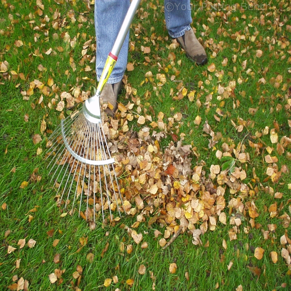 Learn about How to Make Leaf Mould